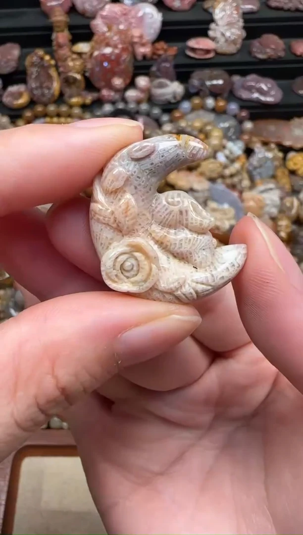 颈饰未镶嵌硅化珊瑚（珊瑚玉）078