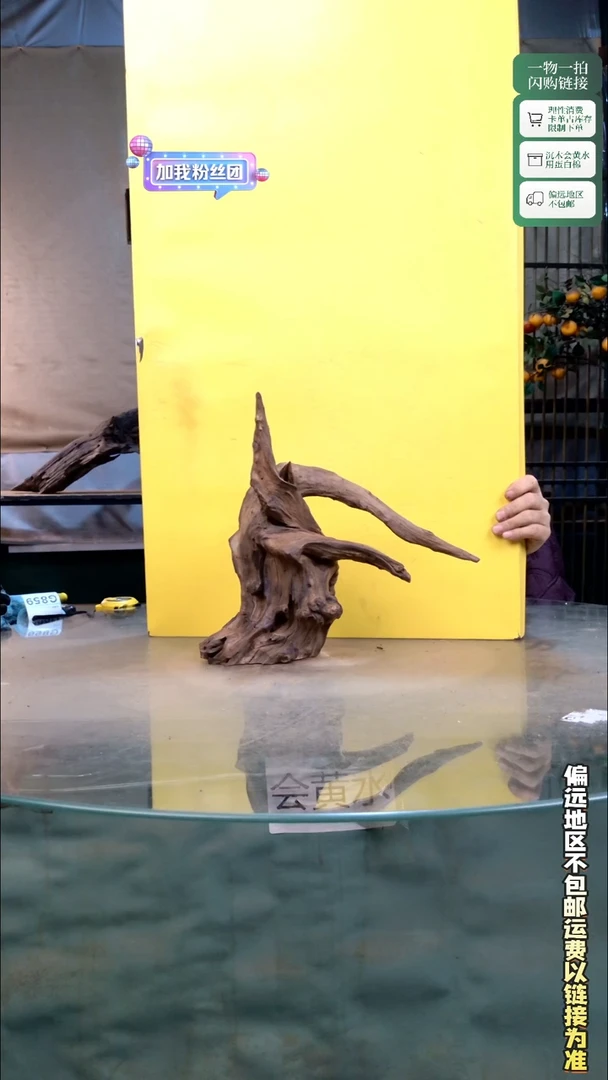 景沐沉木G859 31-12-30