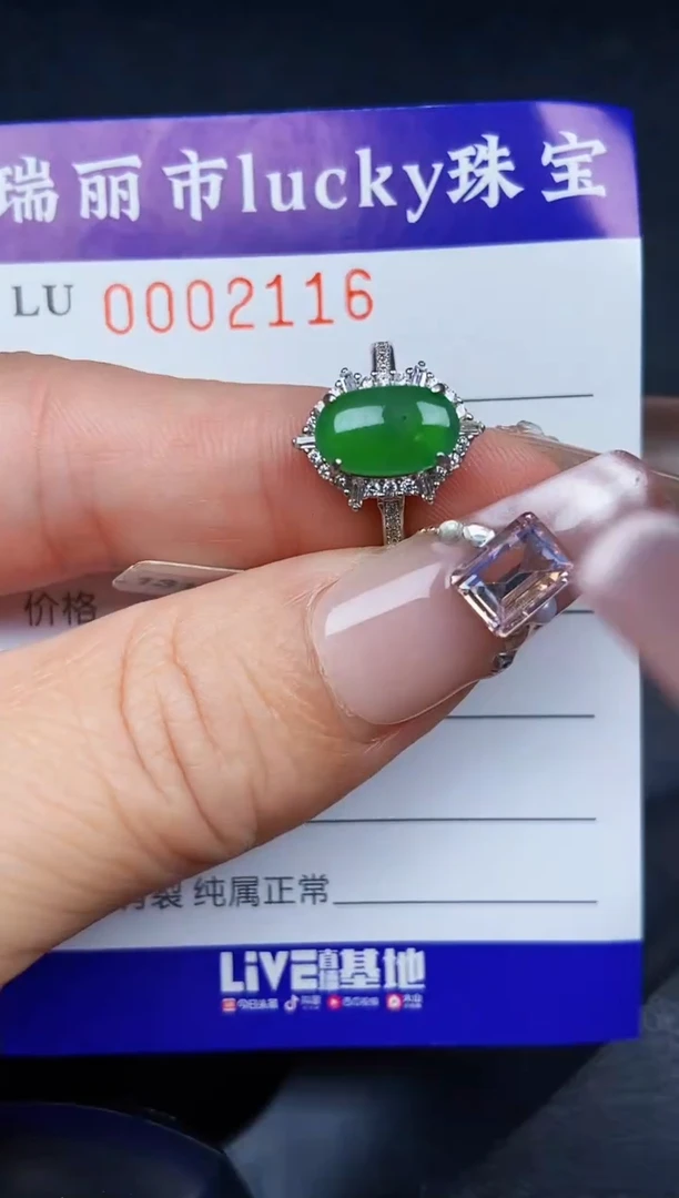 翡翠银S925镶嵌颈饰21116