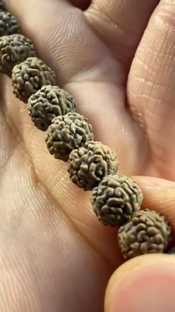 【闪购商品】金刚菩提手串灰皮葛地利一代龙尺寸8