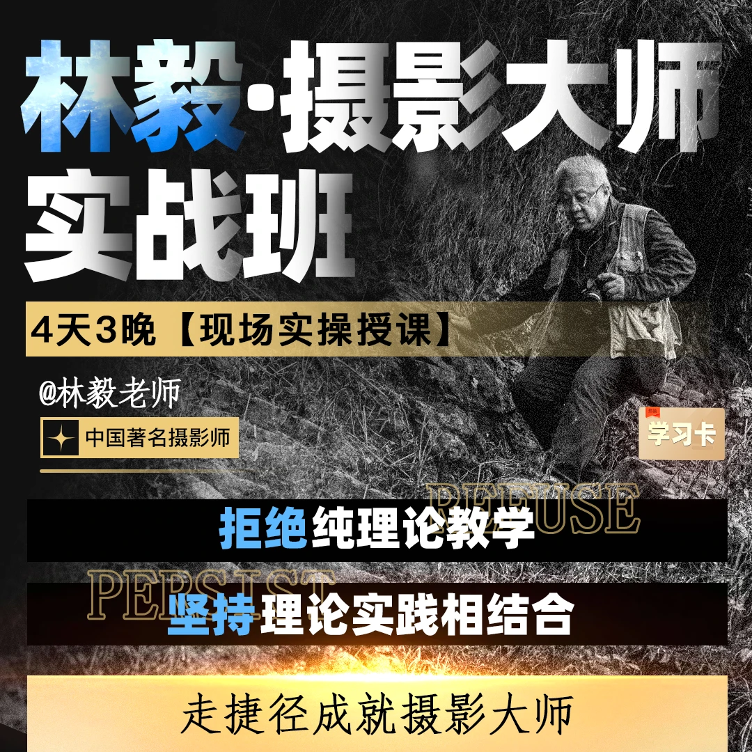 林毅：摄影大师实战班-现场课