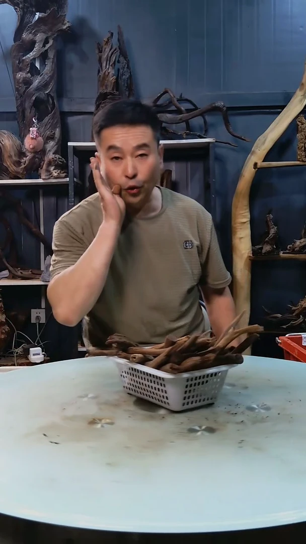 迷你枝条19.9香阁清香阁清香阁