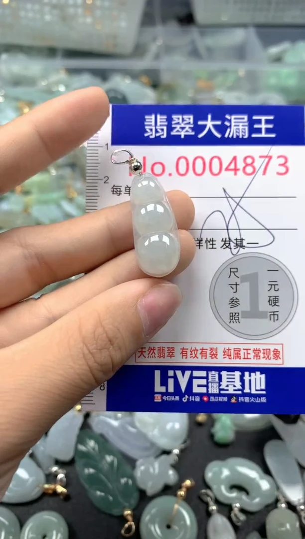 颈饰未镶嵌翡翠4873