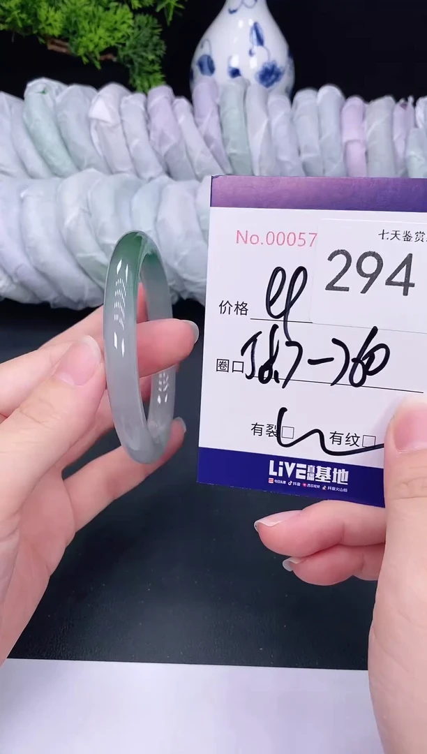 未镶嵌手镯翡翠294