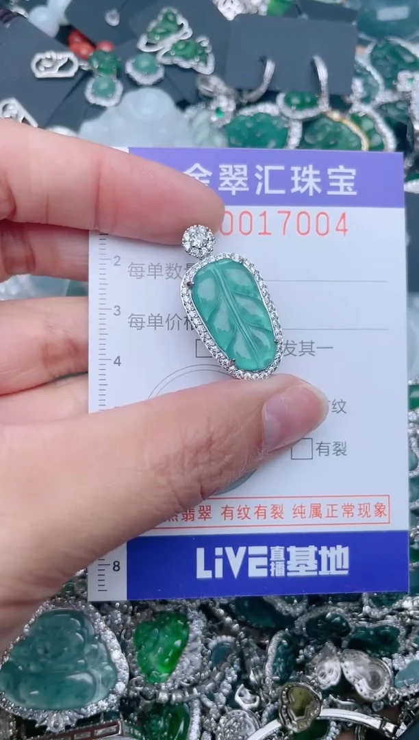 【闪购商品】翡翠颈饰未镶嵌17004.....1