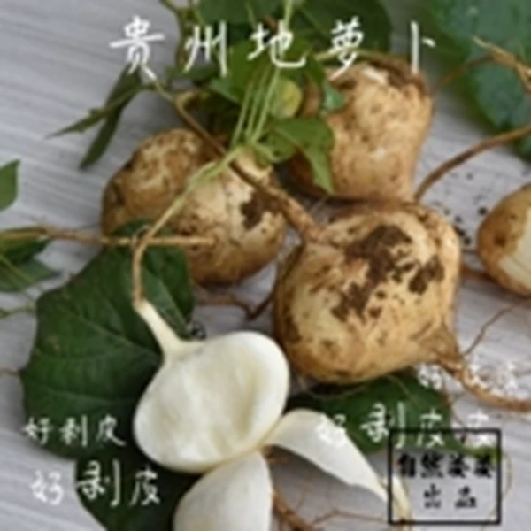 新鲜包邮贵州农村特产水果生吃水果贵州地萝卜凉薯土瓜地瓜白地瓜