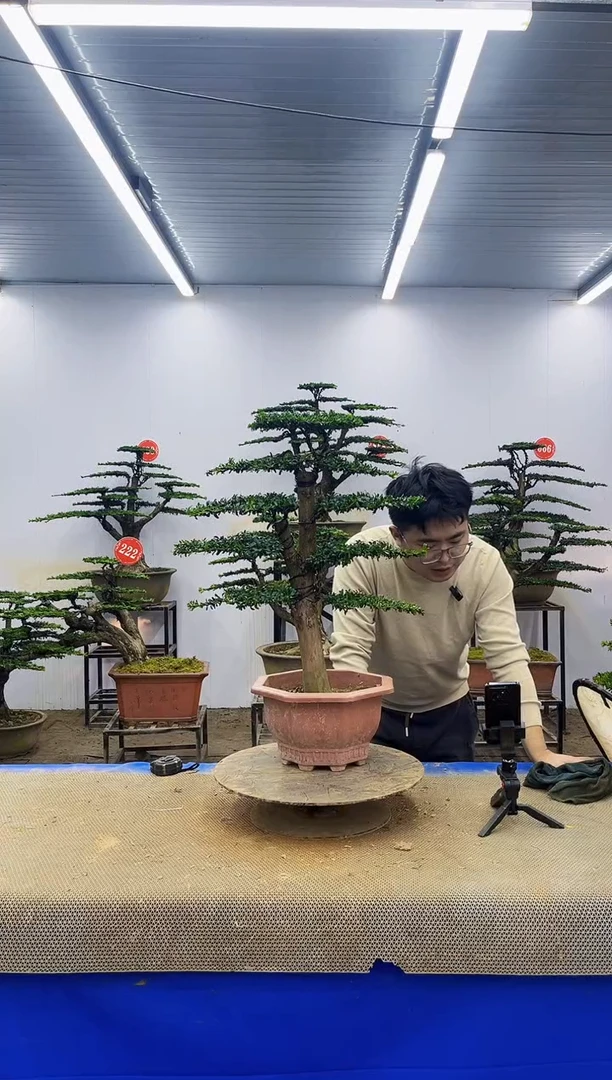 完全开放一物一拍，所见即所得