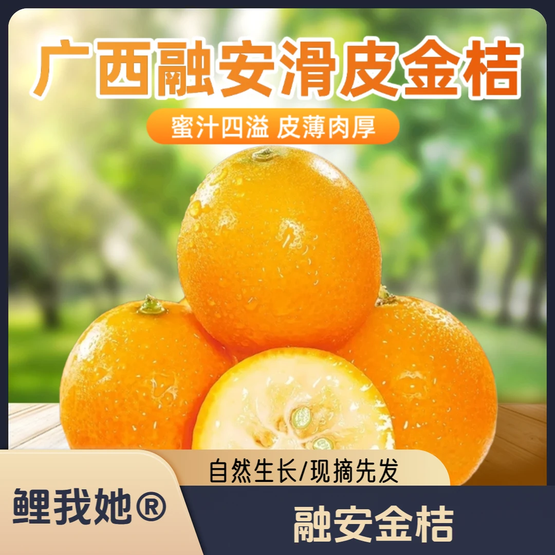 鲤我她®正宗广西融安滑皮金桔第三代金桔蜜汁四溢产地直发