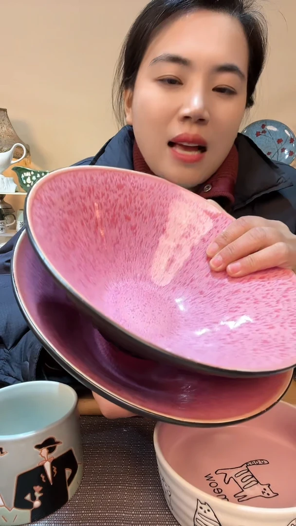 【闪购商品】瓷片瑕疵款 2个8.5英寸碗 介意勿拍