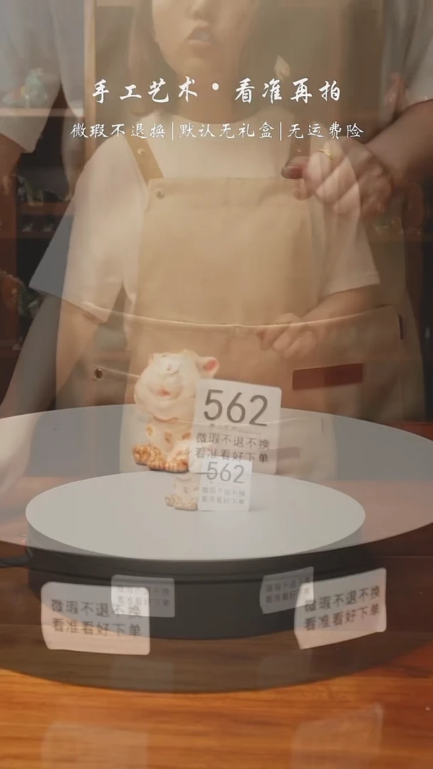 562 小老虎 生肖虎