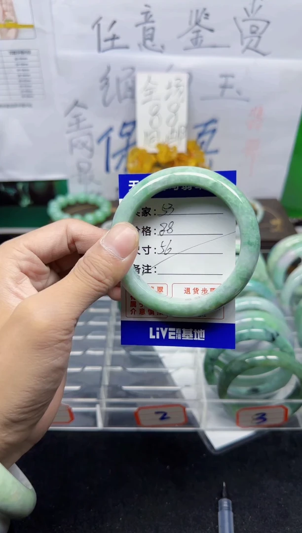 未镶嵌手镯翡翠53