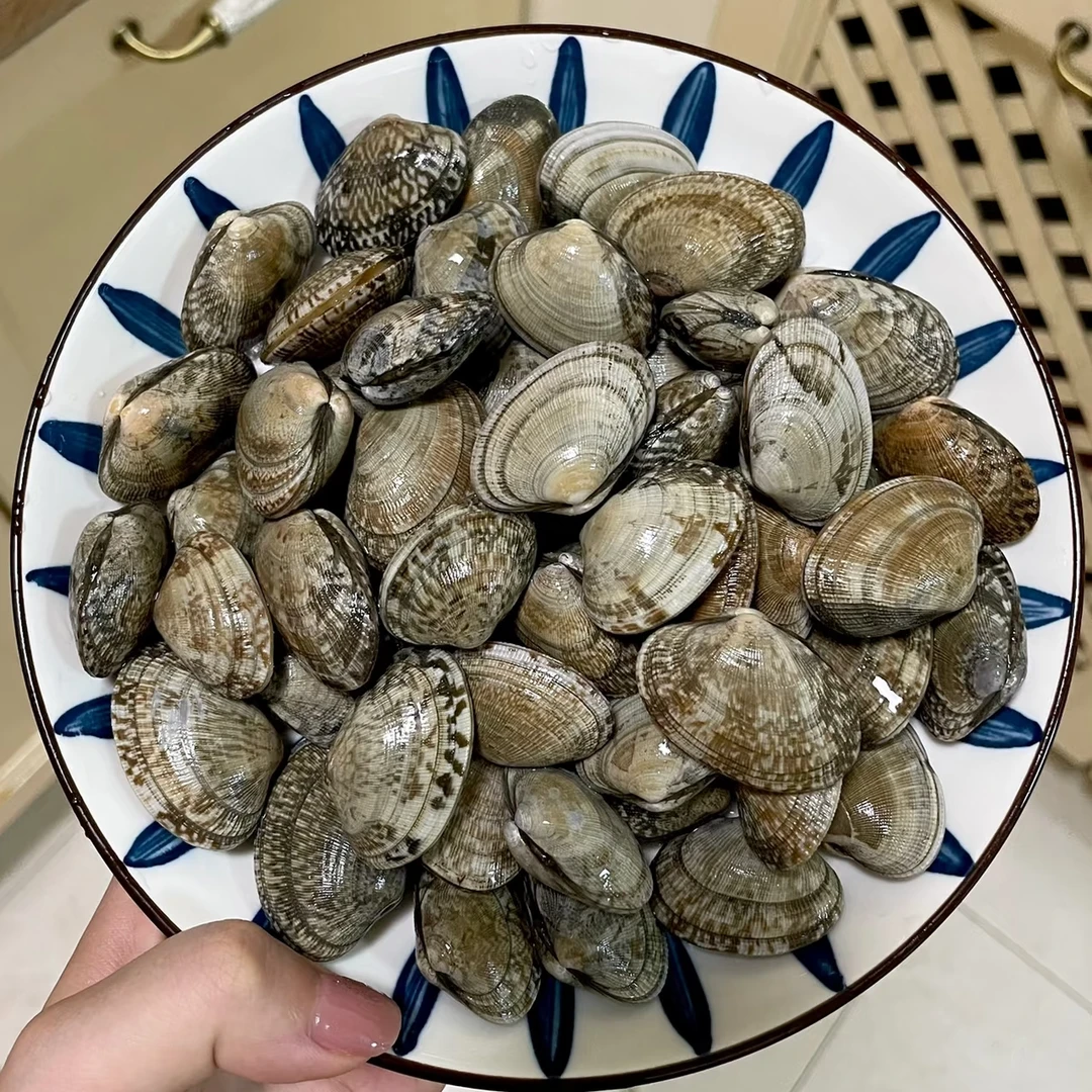 码头鲜活小花蛤500g/份