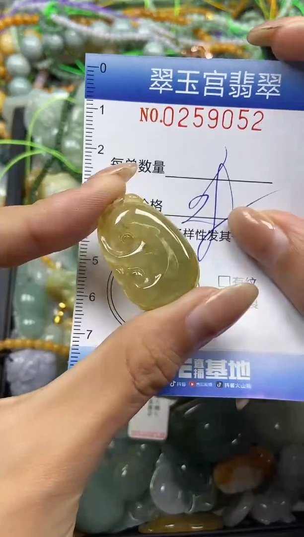 颈饰未镶嵌翡翠闪购C0259052