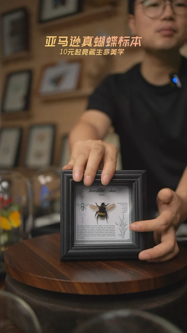 有机玻璃熊蜂四寸方框