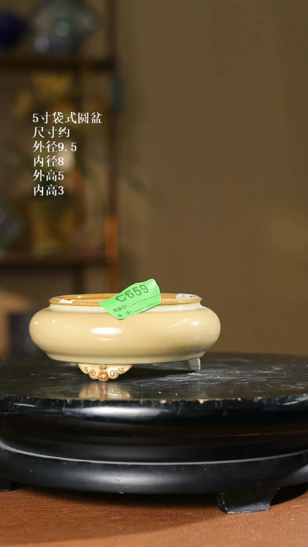 5寸袋式圆盆 659