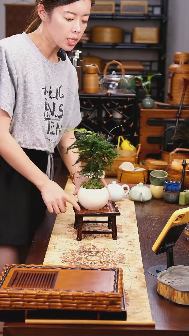 禅意紫竹的紫竹的方形