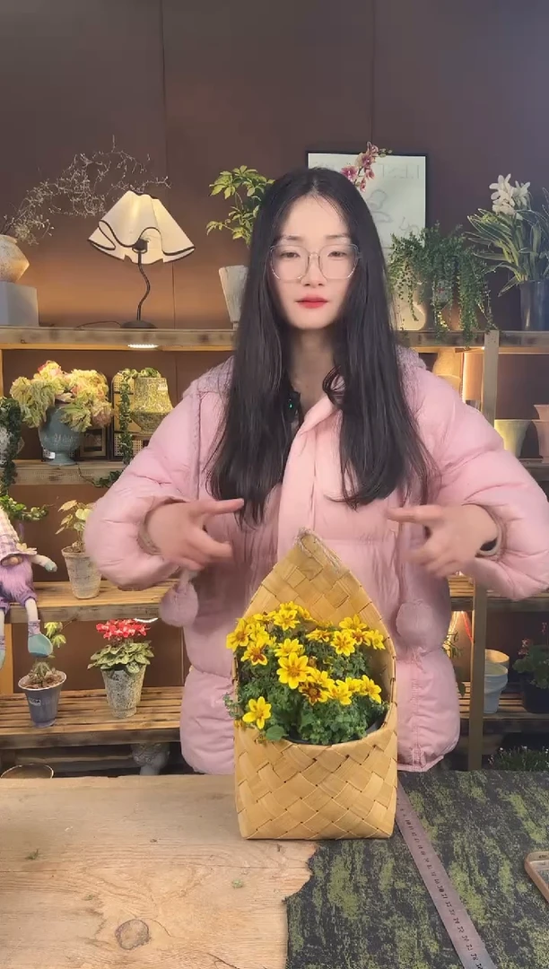 以实际为准思****⋰鬼针草育苗盆074