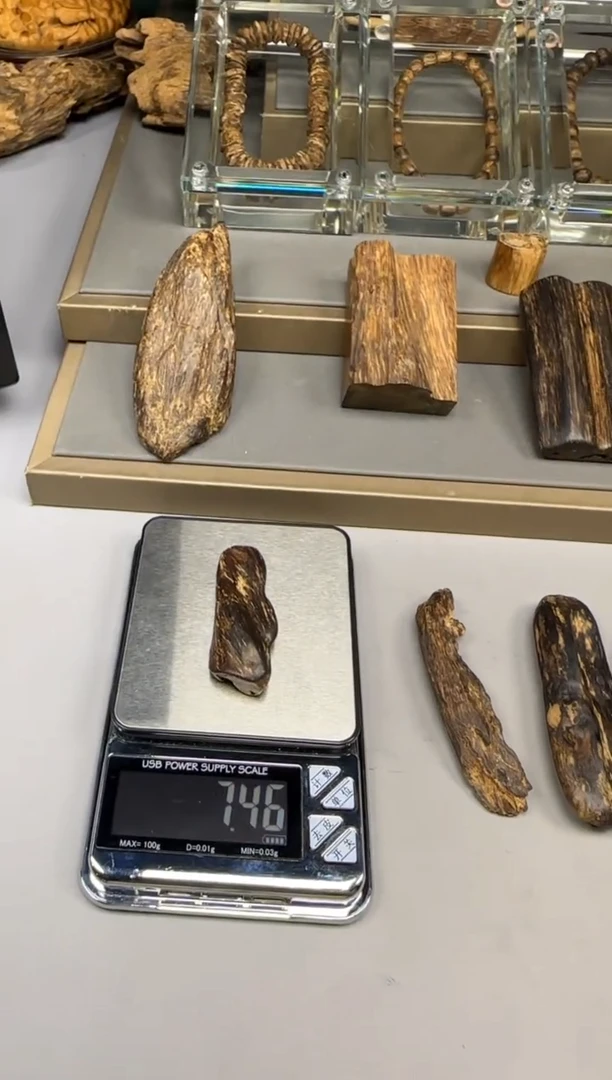 【闪购商品】文莱文莱文莱文莱