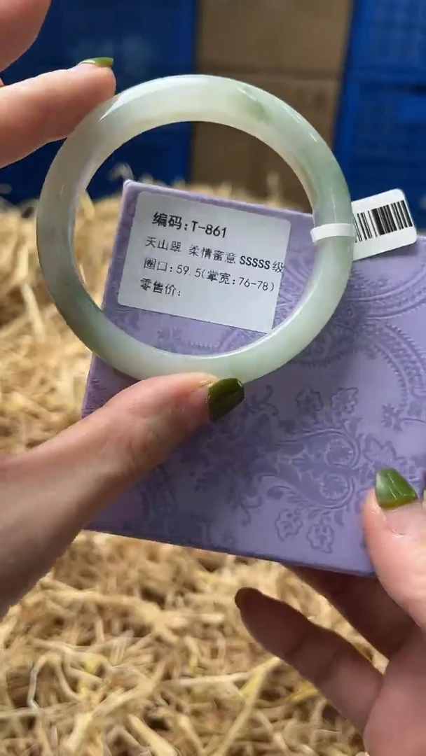 未镶嵌手镯石英质玉T861