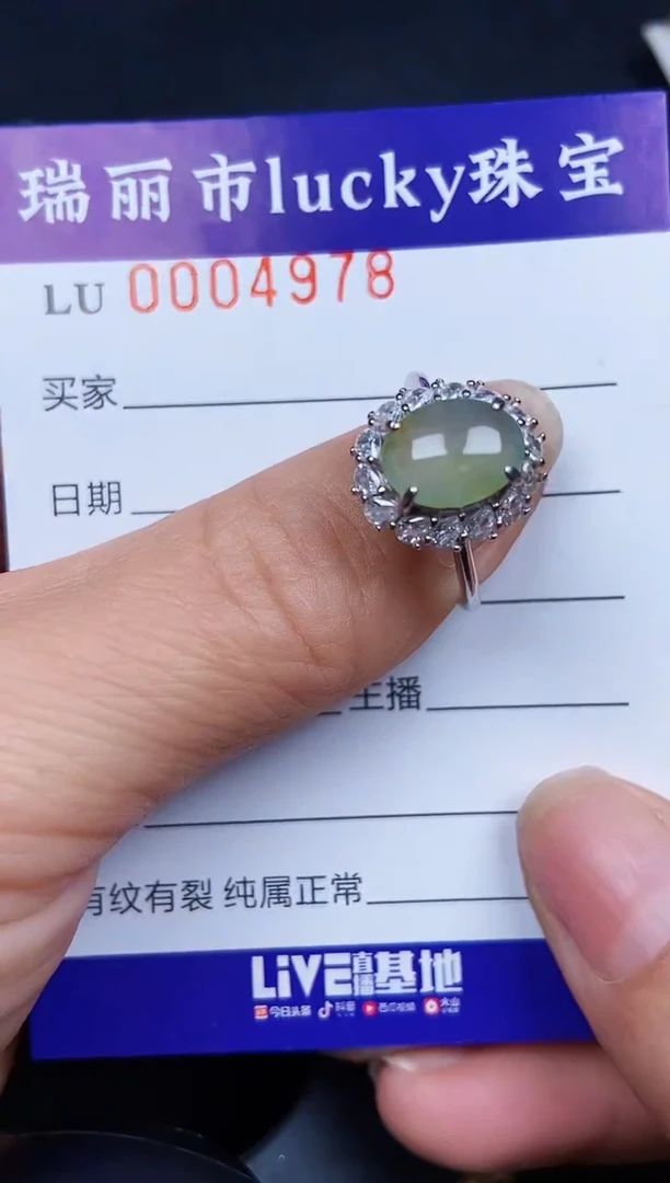 翡翠银S925镶嵌颈饰4978