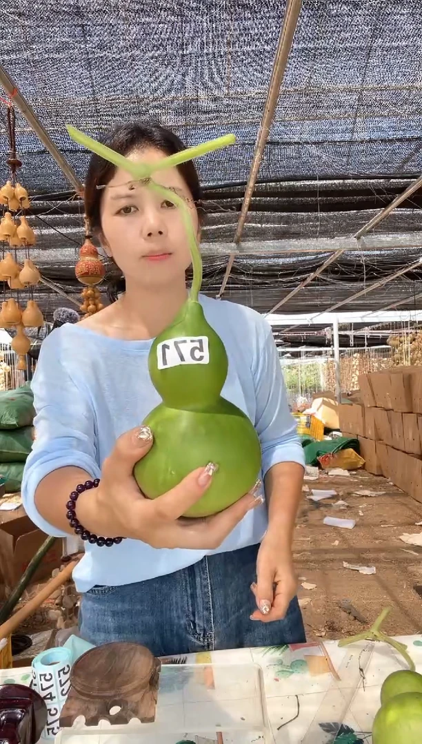 571天然葫芦摆件 一物一拍龙头不保售后微瑕疵