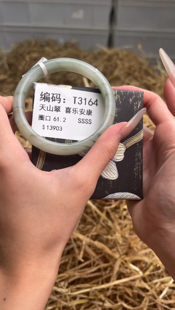 未镶嵌手镯石英质玉T3164