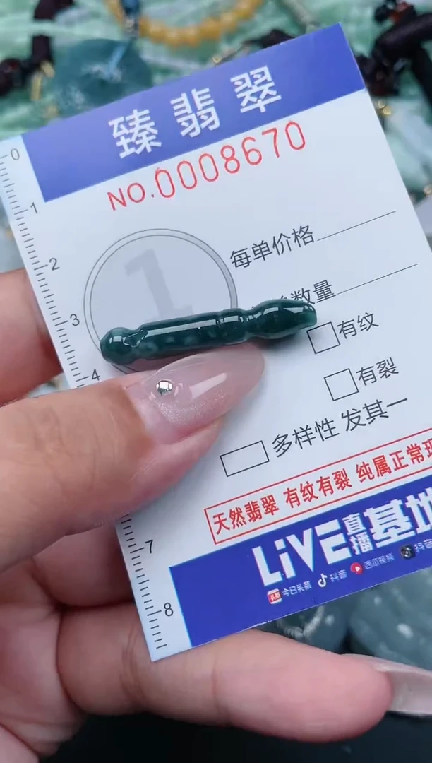 翡翠未镶嵌颈饰.0008670