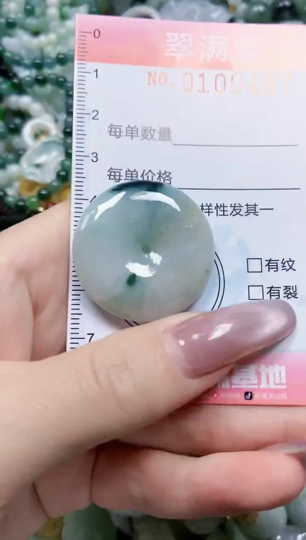 【闪购商品】翡翠颈饰未镶嵌闪购0100487