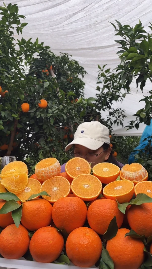 爱媛38号新品上市啦