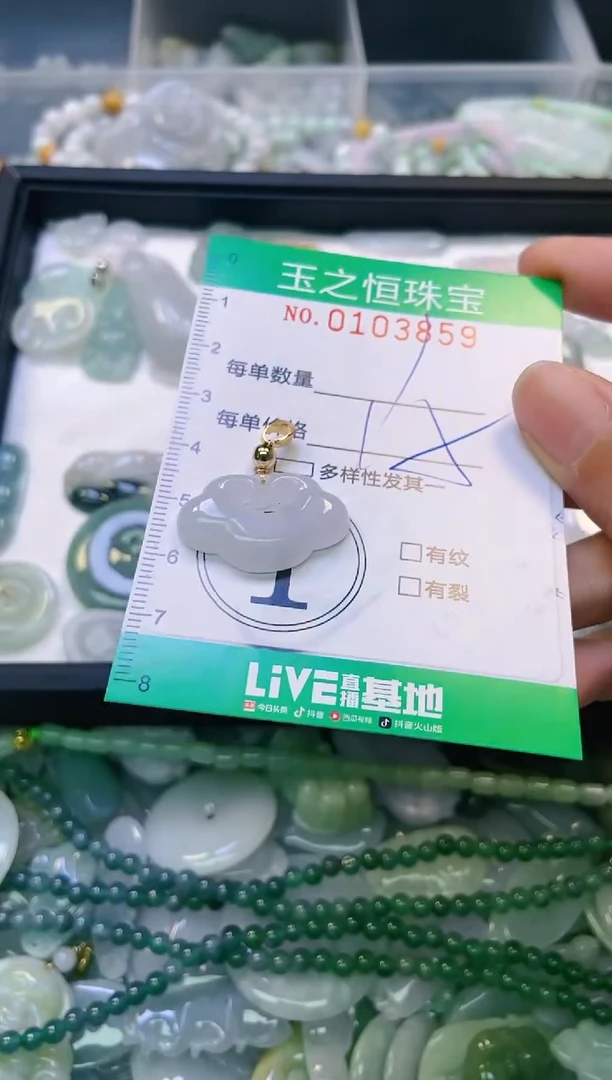 翡翠未镶嵌颈饰闪购0103859