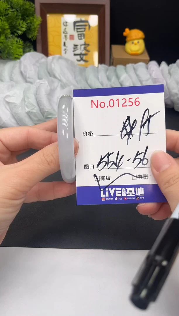 未镶嵌手镯翡翠拍下以实物为准1256
