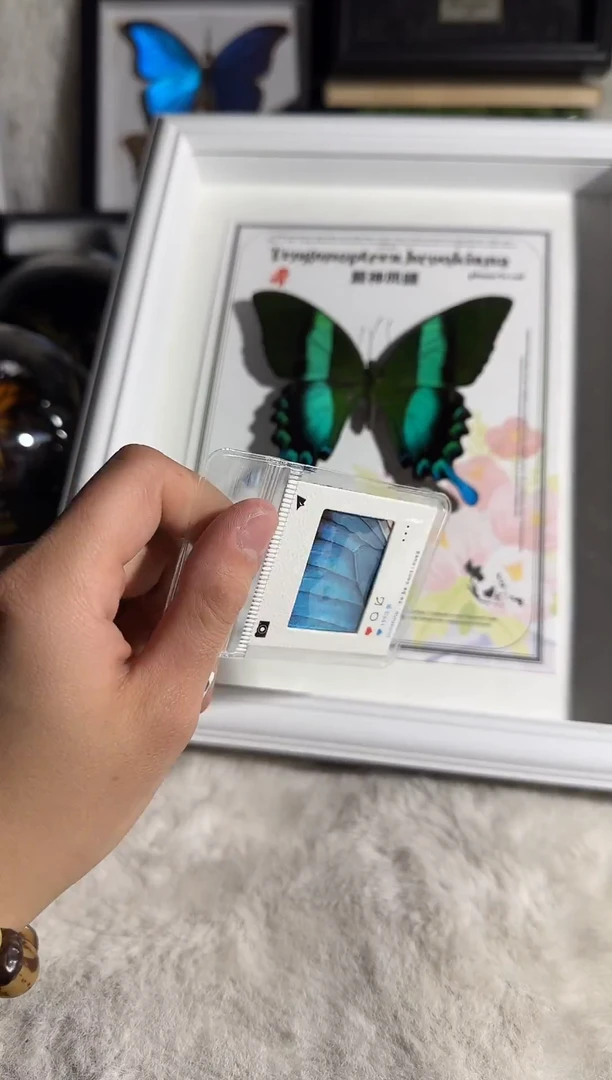 有机玻璃蓓蕾钥匙扣