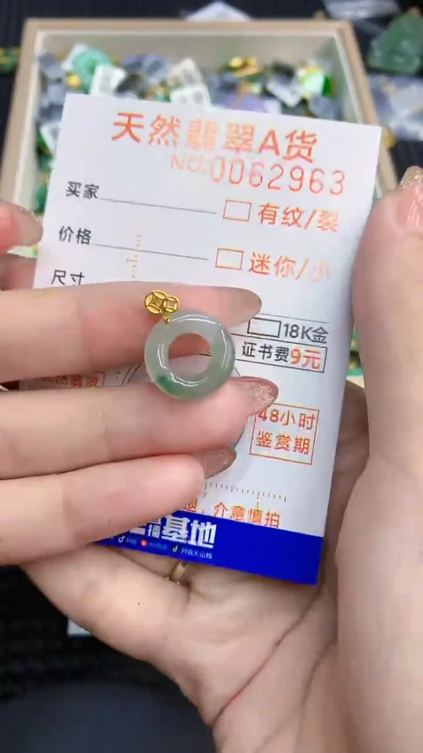 【闪购商品】翡翠银S925镶嵌颈饰            8