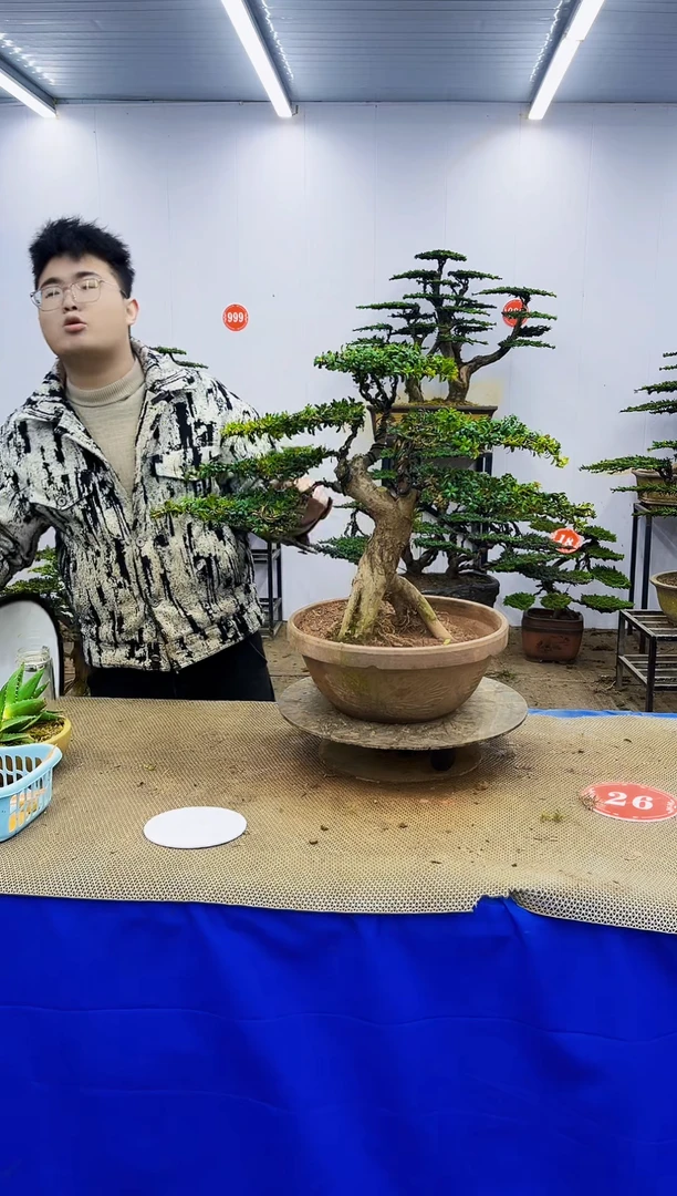 无花朵一物一拍，所见即所得