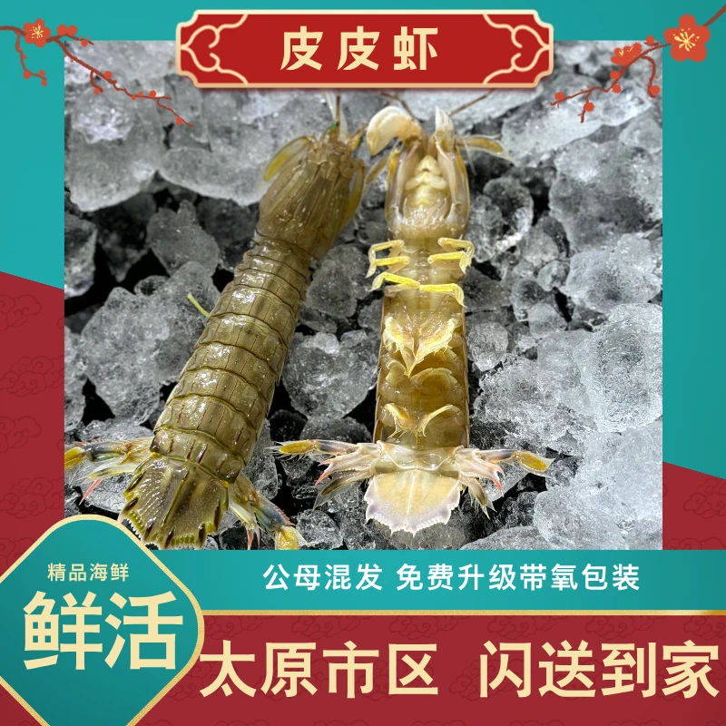 皮皮虾 精挑活发（保鲜不保活)  介意慎拍