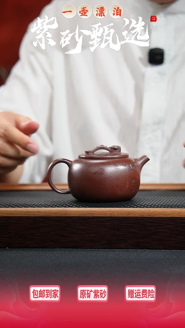 茶壶紫砂 一壶漂泊紫砂茶器6006