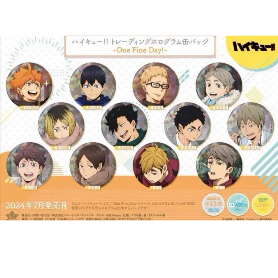 【日谷】排球少年 新秋冬闪 徽章吧唧盲盒