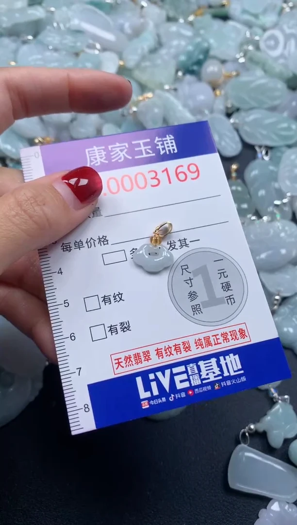 颈饰未镶嵌翡翠3169