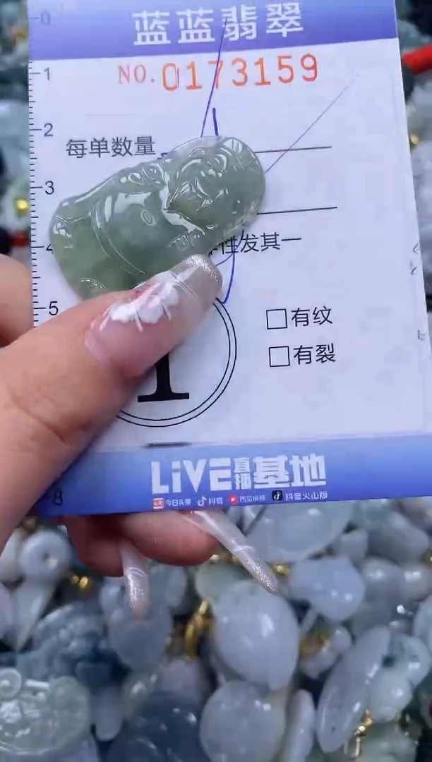 【闪购商品】翡翠颈饰未镶嵌闪购0173159