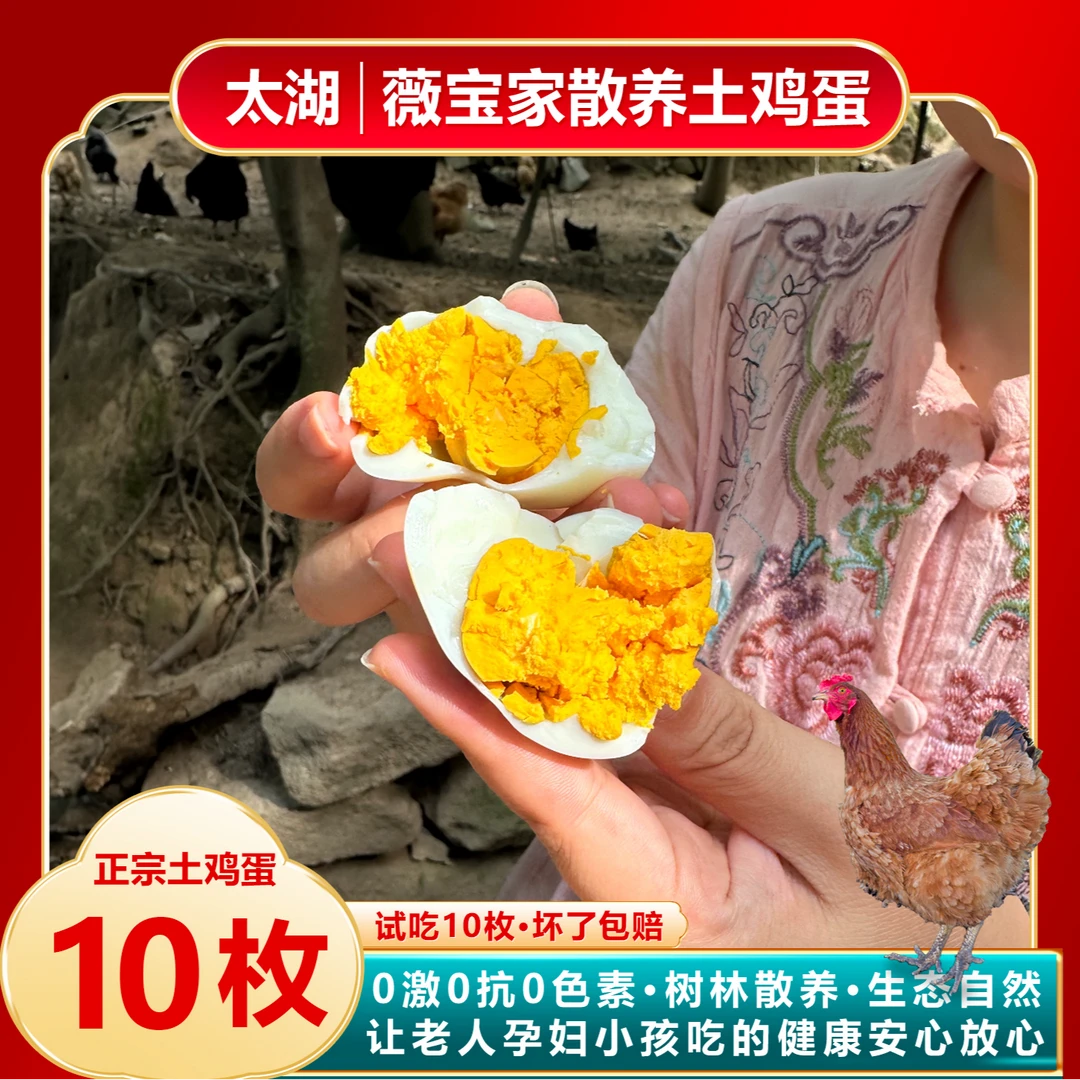 【10枚太湖土鸡蛋】苏州太湖西山岛农家散养土鸡蛋新鲜营养无抗