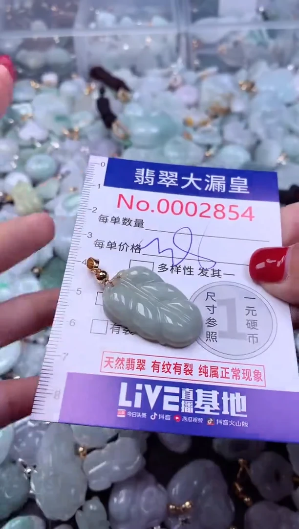 颈饰未镶嵌翡翠2854