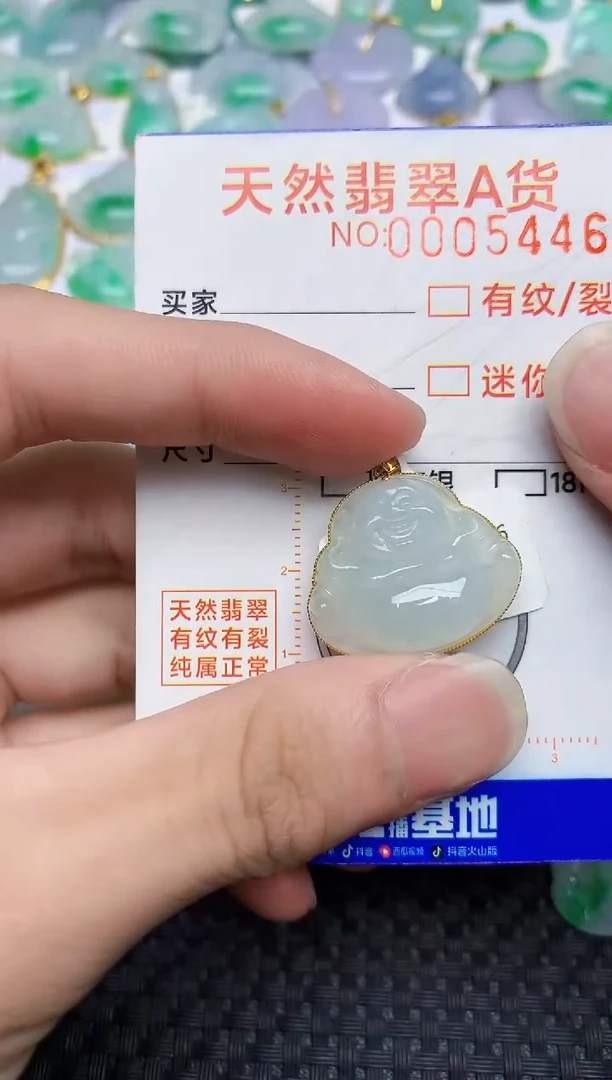 翡翠18K金镶嵌颈饰231231311