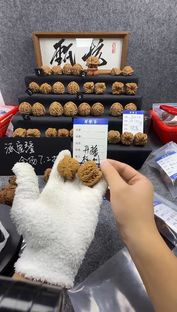 把件文玩核桃开播福利（随机尺）