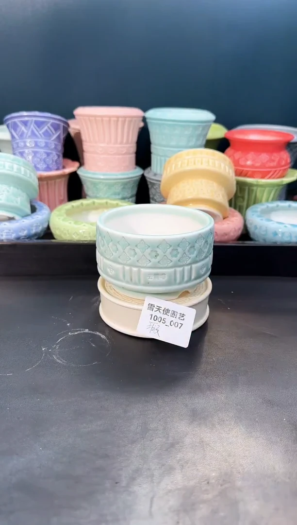 1005- 007云霓瑶 7口 1个微瑕