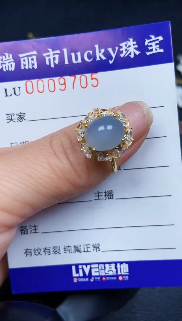 翡翠银S925镶嵌颈饰9705
