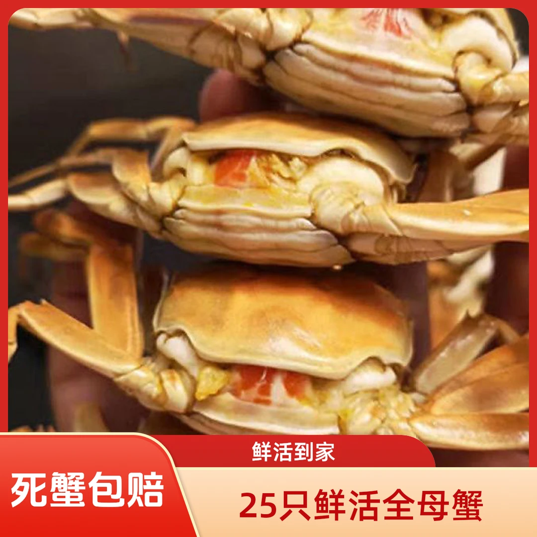 【活蟹]全母25只江苏河蟹单 1.1-1.4两顺丰冷链包邮到家