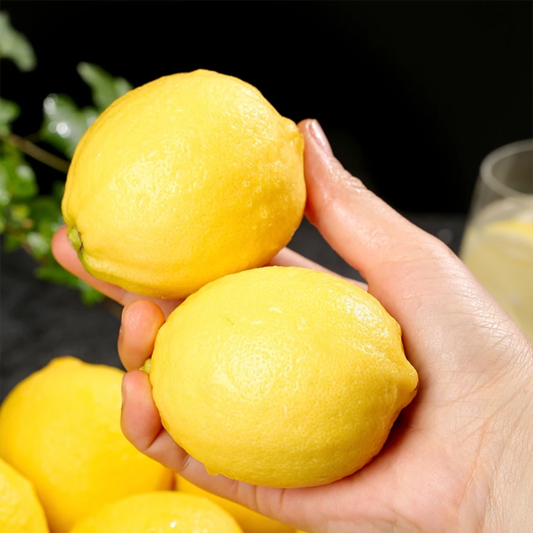 四川安岳黄柠檬新鲜水果皮薄当季整箱精选香水甜青柠檬小金桔特产