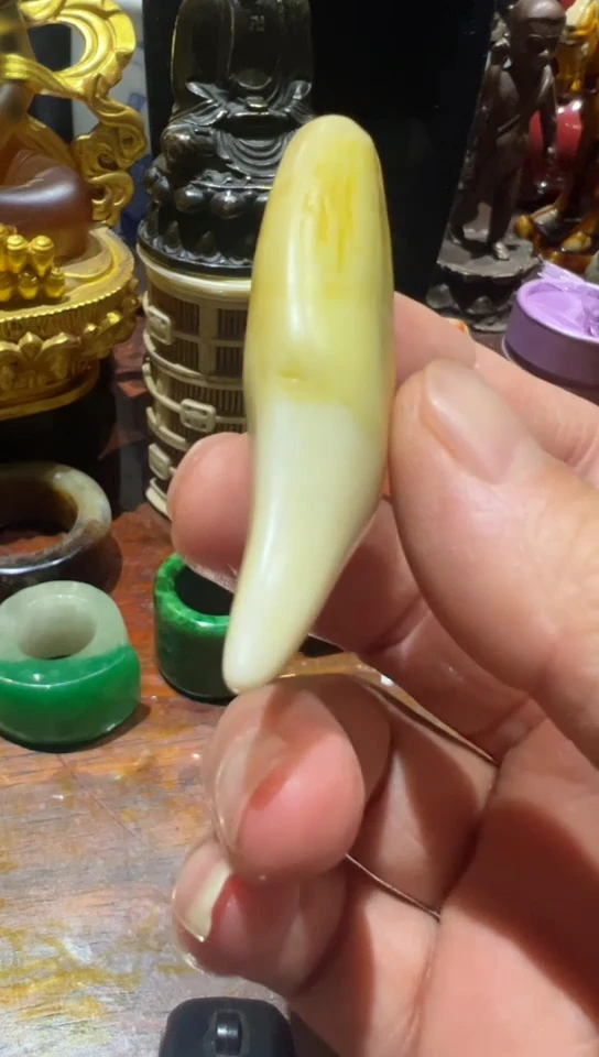 把玩大猫骨的大了呀