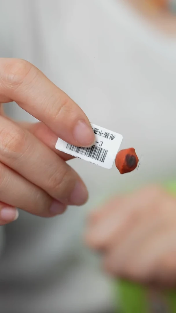 未镶嵌H17（多样性发一件）南红玛瑙单珠