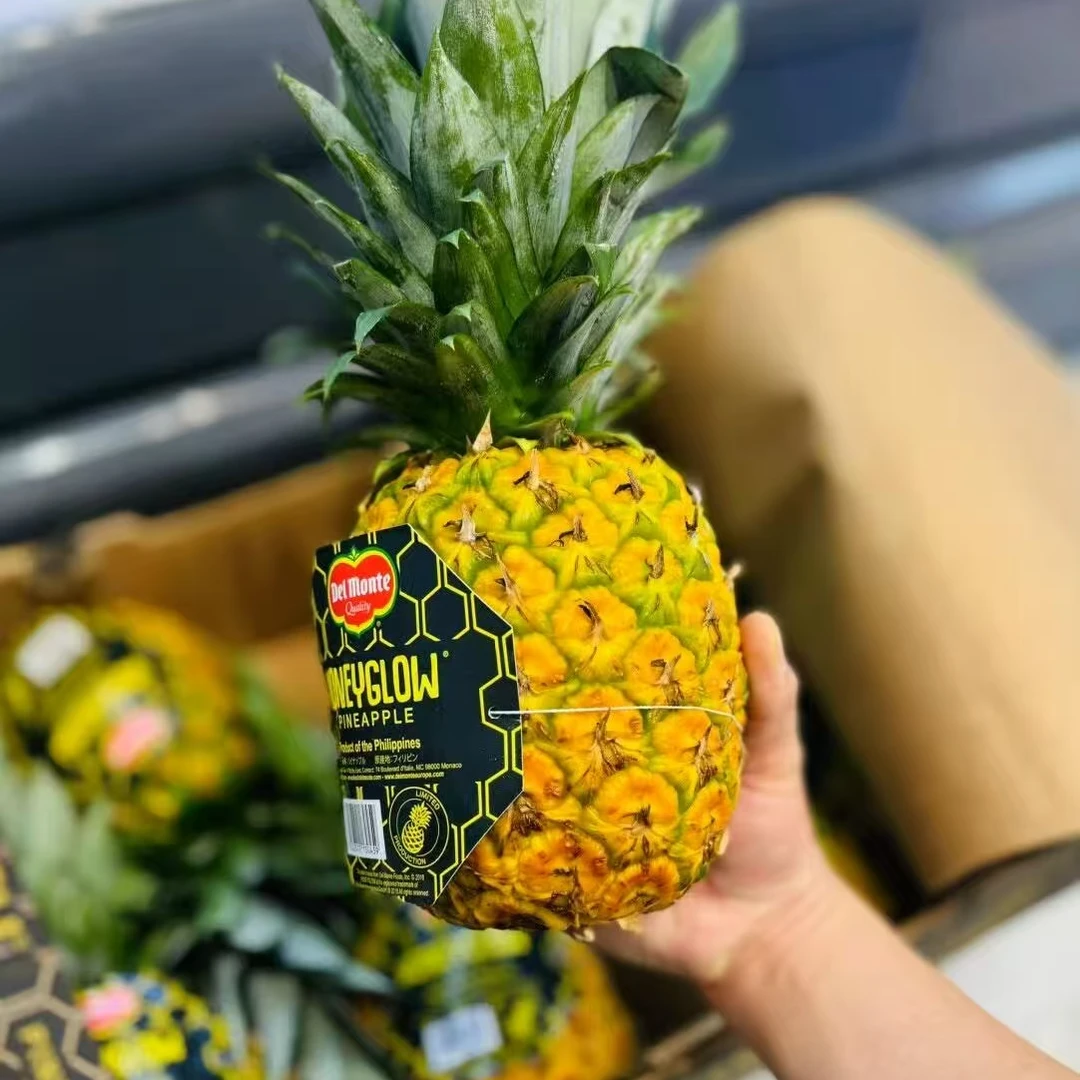 菲律宾地门凤梨 2颗 净重4.7-5斤